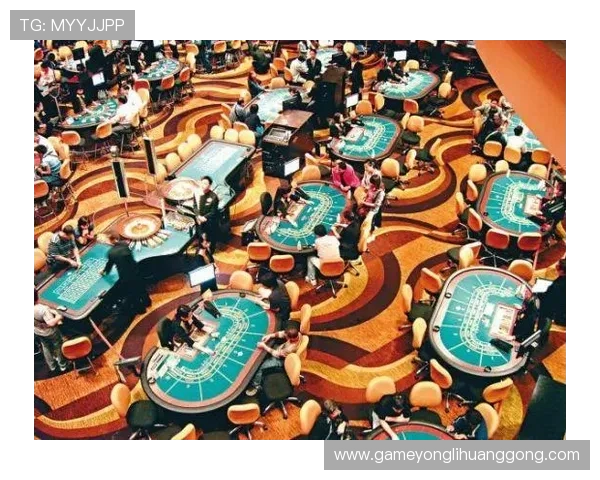 澳门十大顶级赌场全景介绍，带你领略最奢华的博彩环境与专业的客户服务体验